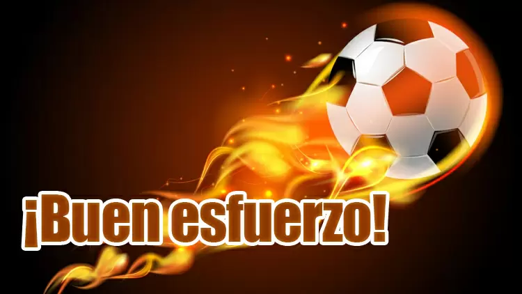 Principiante Rebelde