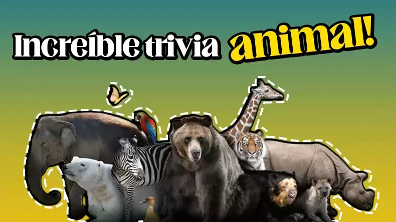 Test: Trivia divertida sobre animales: Desata tu conocimiento sobre animales