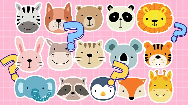 Quiz Banner