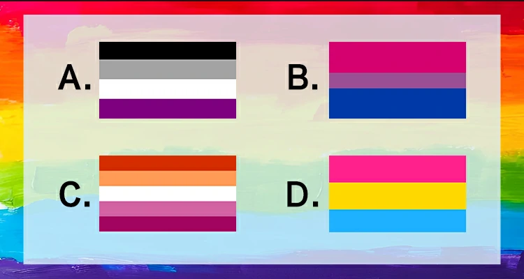 Seleccione la Bandera Asexual de entre las siguientes banderas.