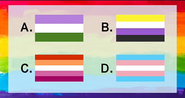 Seleccione la bandera Genderqueer de entre las siguientes banderas.