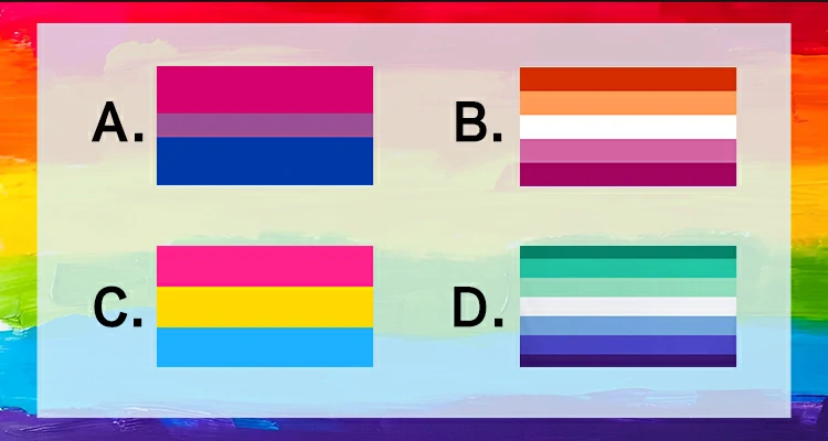 Seleccione la Bandera Pansexual de entre las siguientes banderas.
