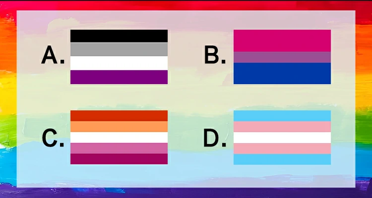 Seleccione la Bandera de Lesbianas entre las siguientes banderas.