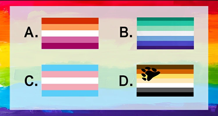 Selecciona la Bandera del Orgullo Gay Masculino entre las siguientes banderas.