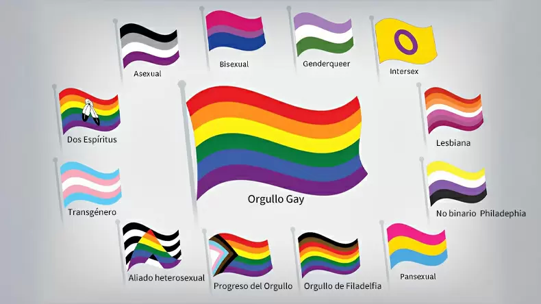 Encuesta de la Bandera del Orgullo de LGBTQ
