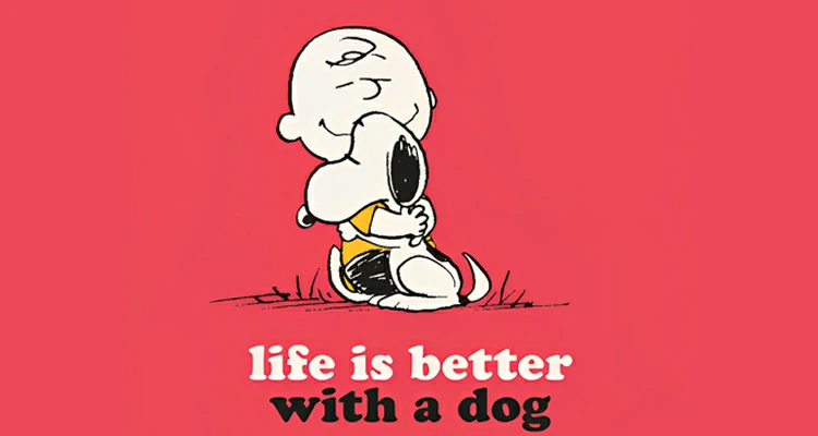 Un experto en perros