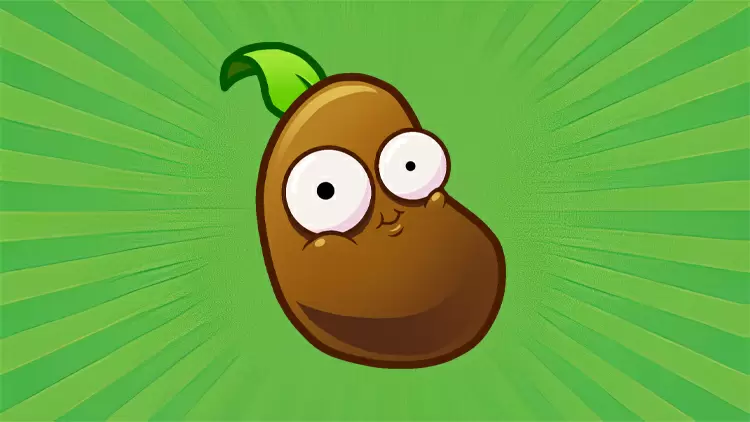 Eres el grano de café. 