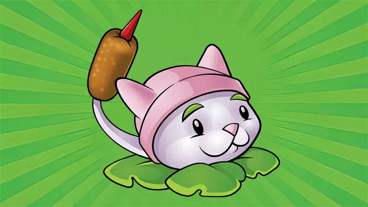 Usted es la Cola de gato. 