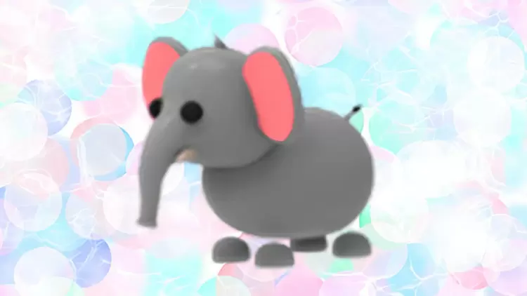 Elefante