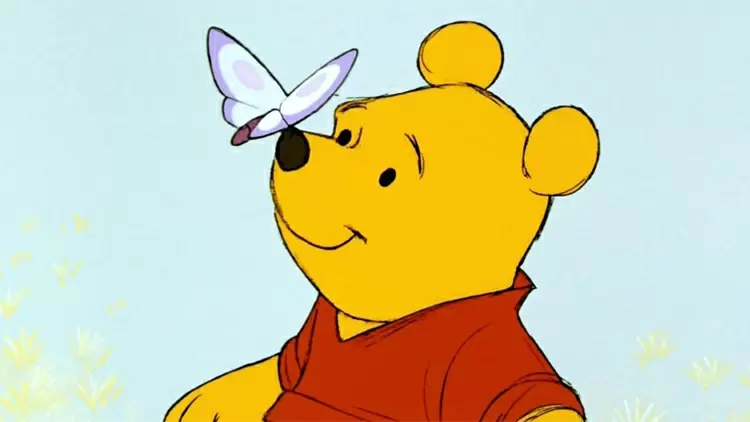 Eres Winnie the Pooh. 