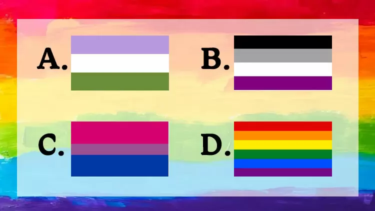 Por favor, elige una de las siguientes banderas LGBTQ+