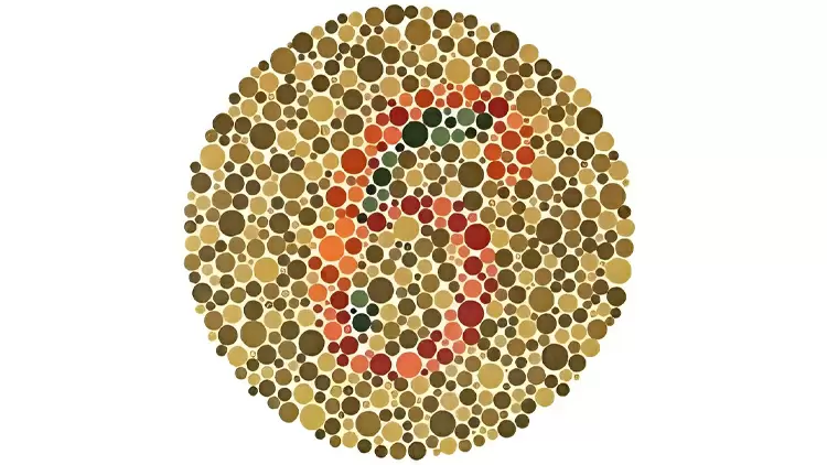 Por favor, selecciona el número que aparece en la imagen.