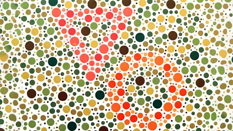 Por favor, selecciona la figura en la imagen.