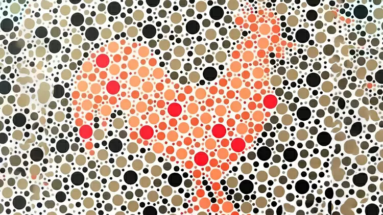 Por favor, selecciona el animal que se muestra en la imagen.