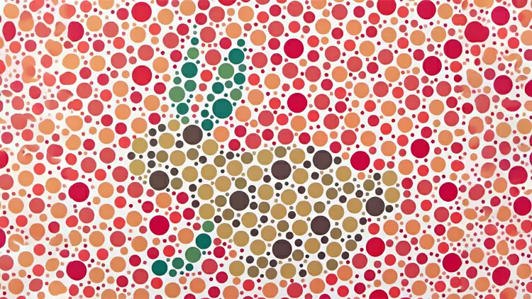 Por favor, selecciona el animal que se muestra en la imagen.