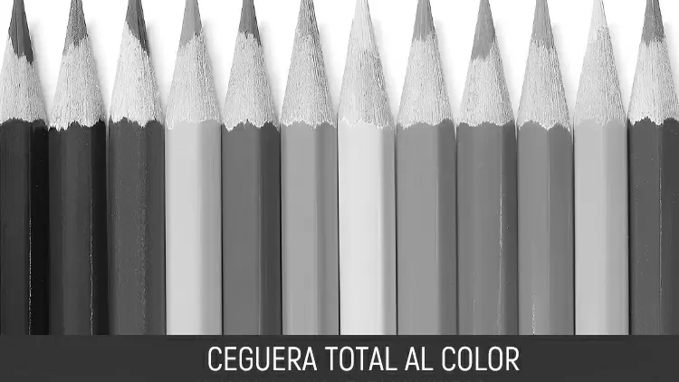 Ceguera total al color (Monocromatismo/Acromatopsia)