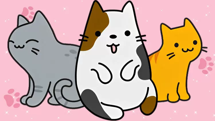  ¡Los gatos son su mascota perfecta!