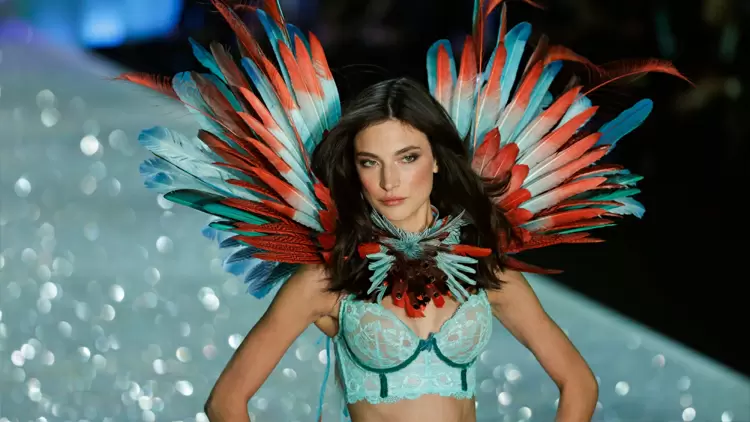 Ala de ave del paraíso