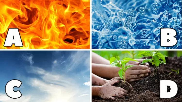 ¡Elige un elemento!