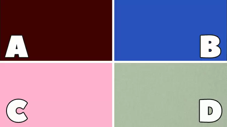 ¿Cuál es tu color favorito?