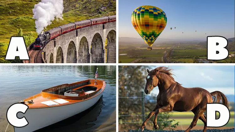 ¿Cómo te gustaría viajar hasta allí?