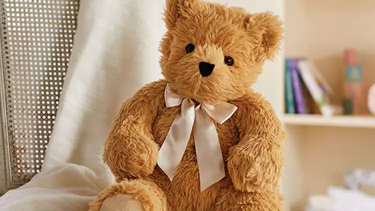 Eres un oso de peluche.