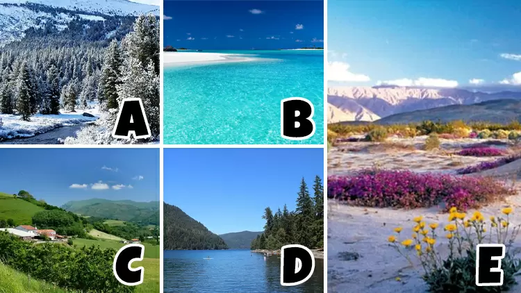 ¿Cuál es tu clima ideal?