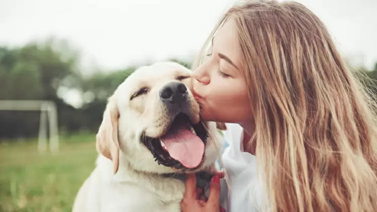 Los animales confían mucho en ti. 