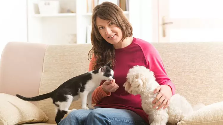 Muchos animales confiarán en ti.