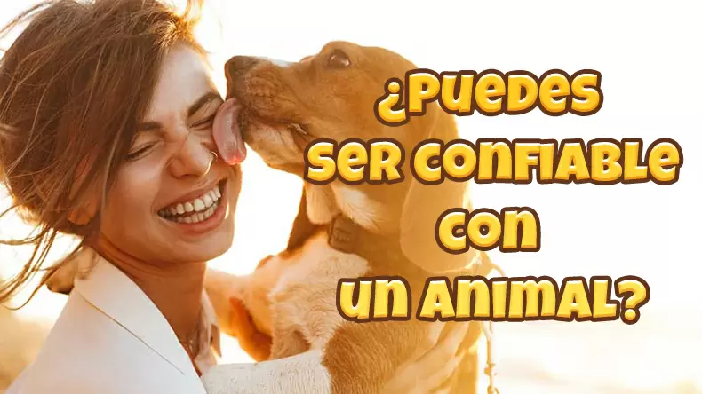 Test sobre la confianza en los animales: ¿Se puede confiar en un animal?