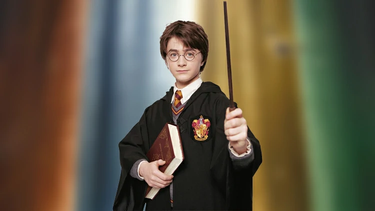  Harry Potter