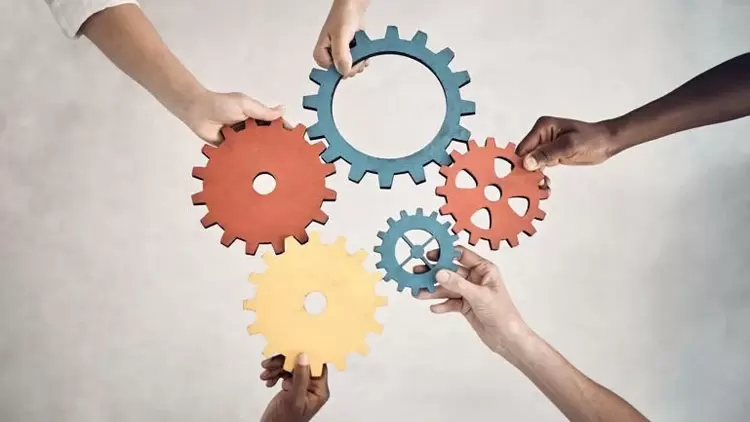 ¿C6mo abordas las tareas grupales?