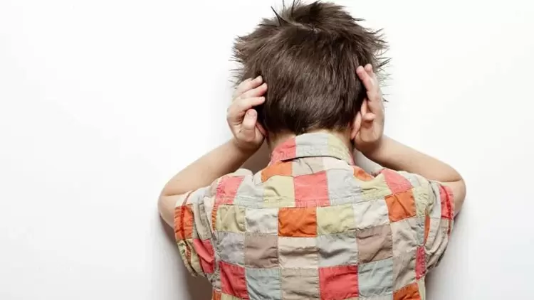 Si las cosas son demasiado ruidosas, me tapo los oidos.