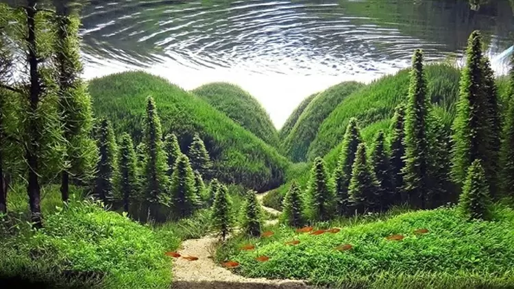 Aprecio la belleza y la singularidad del mundo que me rodea.