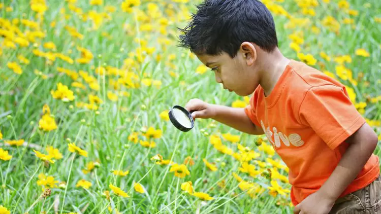 Soy consciente de mi entorno y presto atención a las pequeñas cosas.