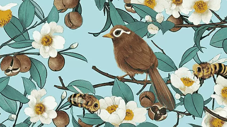 ¿Qué parte de la imagen notas primero?