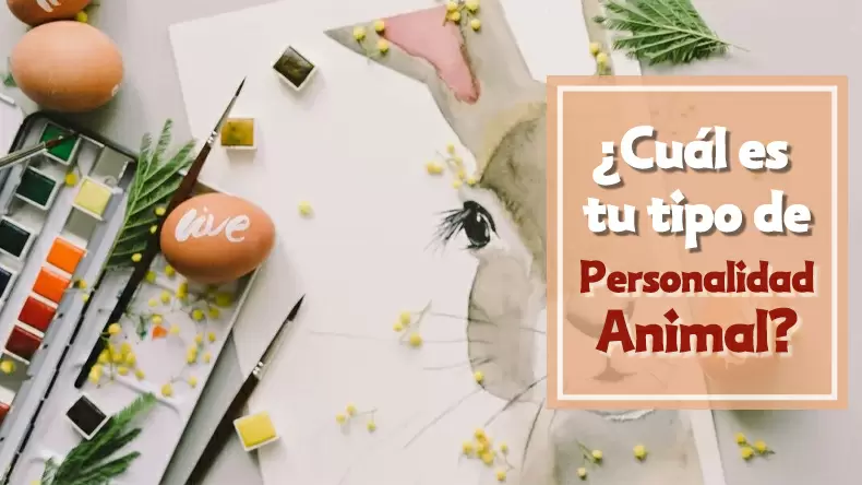 Test: ¿Cuál es tu tipo de Personalidad Animal?